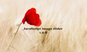 javascript image slider